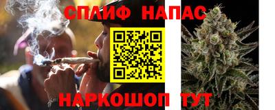 мяу мяу кристалл Ярославль